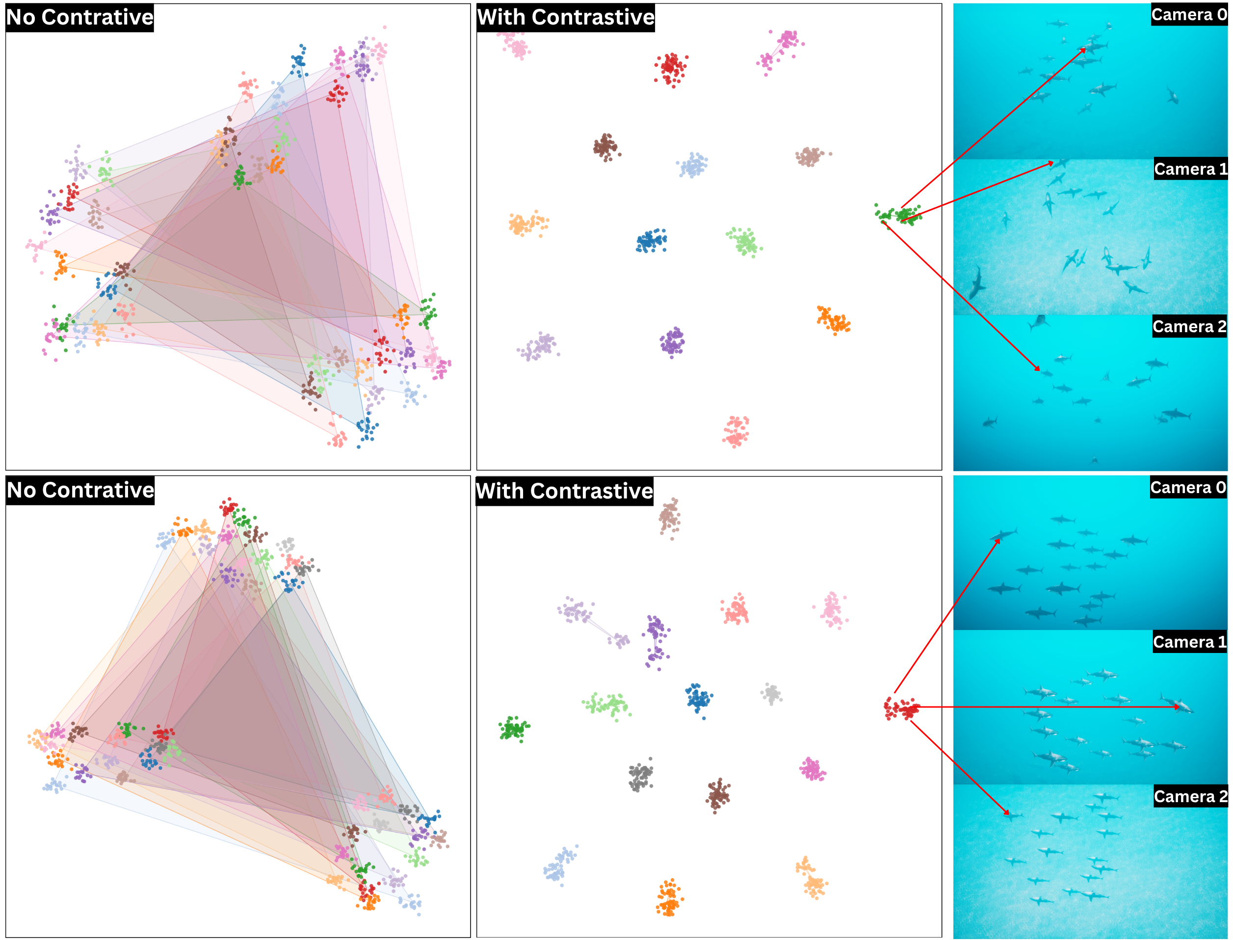 Visualization of embedding separation with and without contrastive learning.