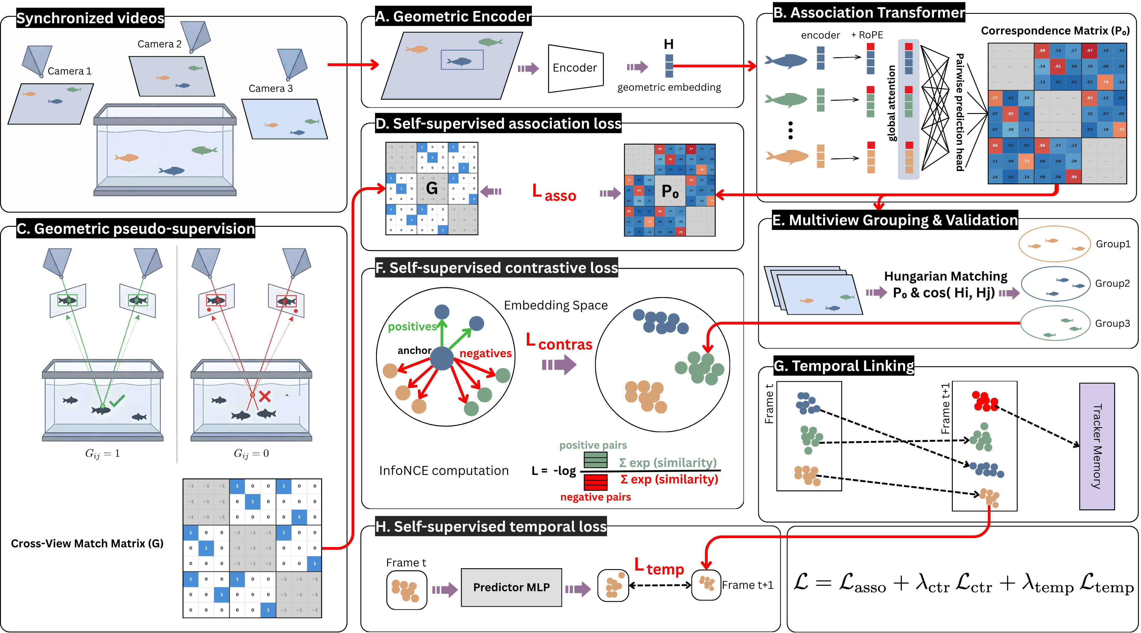 Overview diagram of the TrackFish3D framework.